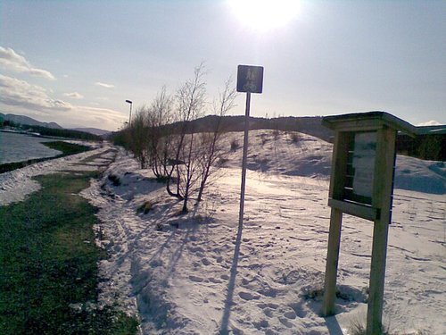 Historisk vandring rundt Gammelosen. Foto: Marit Mj�en